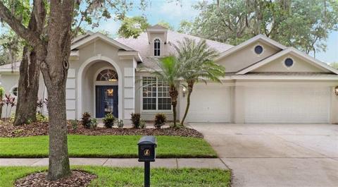 5755 Eaglemount Cir, Lithia, FL 33547 photo 1