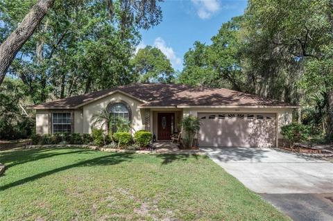 7815 Dusty Rd, Riverview, FL 33569 photo 1