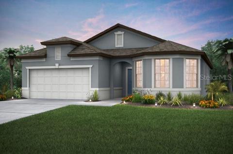 10308 Wine Press Ave, Riverview, FL 33578 photo 1