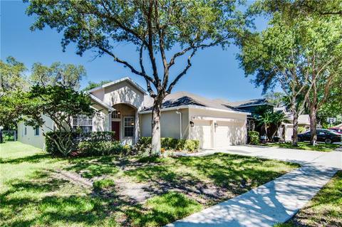 6007 Tealside Ct, Lithia, FL 33547 photo 1
