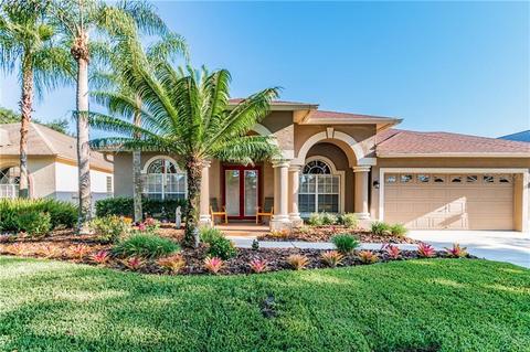 19351 Wind Dancer St, Lutz, FL 33558 photo 1