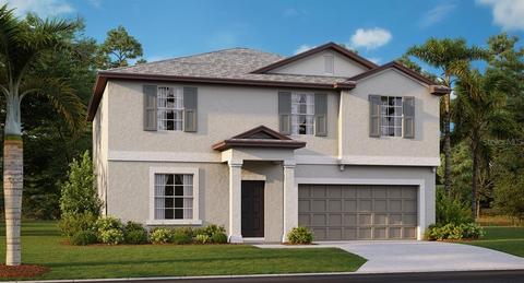 11206 Beeswing Pl, Riverview, FL 33578 photo 1