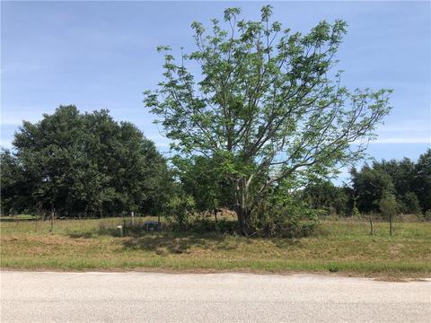 10019 Simmons Ranch Ct, Riverview, FL 33578 photo 1