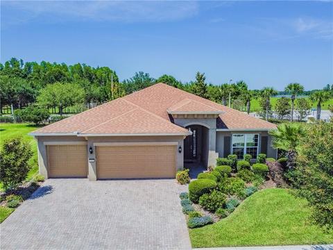 3205 Mapleridge Dr, Lutz, FL 33558 photo 1