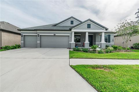 11627 Iris Spring Ct, Riverview, FL 33579 photo 1
