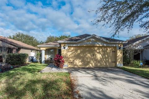 11214 Summer Star Dr, Riverview, FL 33579 photo 1