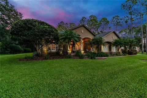 423 Pine Bluff Dr, Lutz, FL 33549 photo 1