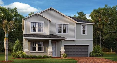 25000 Lambrusco Loop, Lutz, FL 33559 photo 1