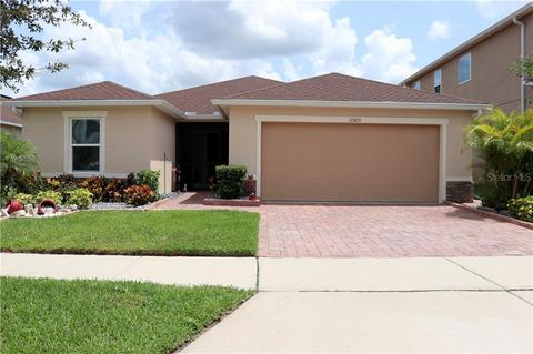 11505 Luckygem Dr, Riverview, FL 33579 photo 1