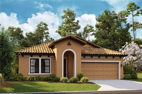 11220 Fish Eagle Dr, Riverview, FL 33569 photo 1
