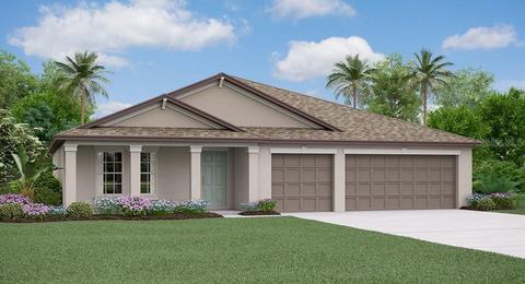 11902 Field Thistle Ct, Riverview, FL 33579 photo 1