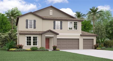 11906 Field Thistle Ct, Riverview, FL 33579 photo 1