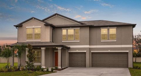 11907 Field Thustle Ct, Riverview, FL 33579 photo 1