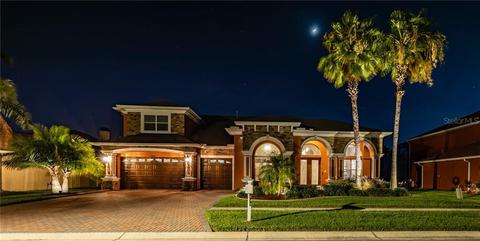 11725 Newberry Grove Loop, Riverview, FL 33579 photo 1