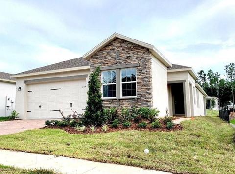 2817 Bigleaf Maple Dr, Ocoee, FL 34761 photo 1