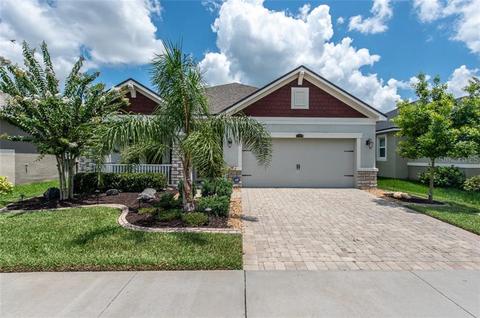 12320 Eagle Swoop Pl, Riverview, FL 33579 photo 1
