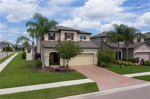 18651 Deer Tracks Loop, Lutz, FL 33558 photo 1