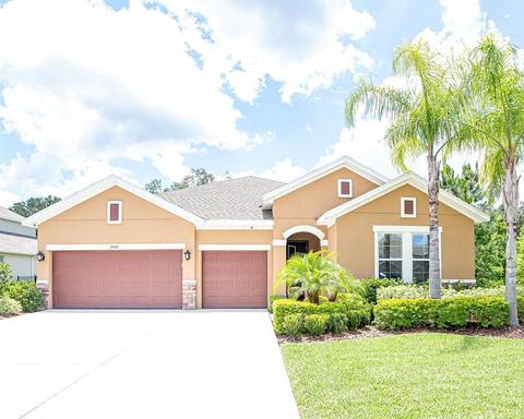 1041 Tracey Ann Loop, Seffner, FL 33584 photo 1