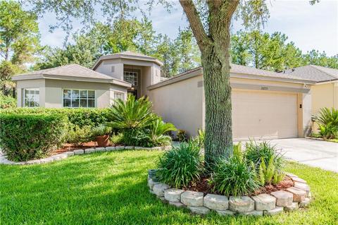 26715 Middleground Loop, Wesley Chapel, FL 33544 photo 1