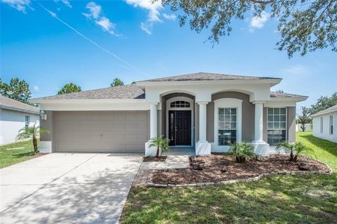 13235 Evening Sunset Ln, Riverview, FL 33579 photo 1