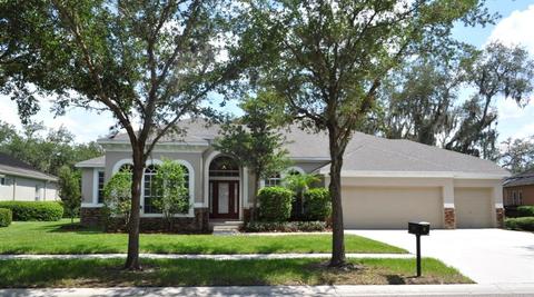 5816 Terncrest Dr, Lithia, FL 33547 photo 1