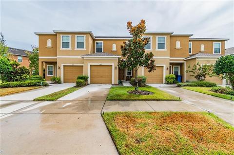 8419 Painted Turtle Way, Riverview, FL 33578 photo 1
