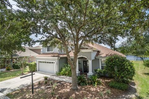 10725 Banfield Dr, Riverview, FL 33579 photo 1