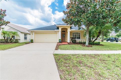 12220 Adventure Dr, Riverview, FL 33579 photo 1
