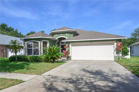9816 Laurel Ledge Dr, Riverview, FL 33569 photo 1