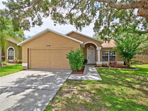 13446 Beechberry Dr, Riverview, FL 33579 photo 1