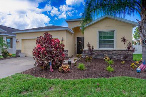 11601 Warren Oaks Pl, Riverview, FL 33578 photo 1