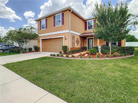 10601 Massimo Dr, Wimauma, FL 33598 photo 1