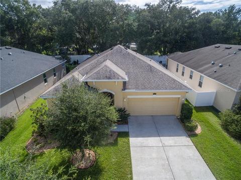 4101 Pacente Loop, Wesley Chapel, FL 33543 photo 1