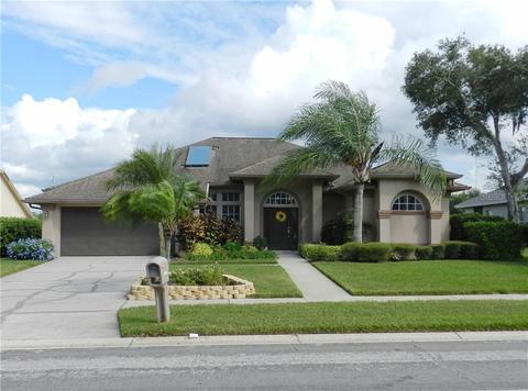 10108 Tarragon Dr, Riverview, FL 33569 photo 1