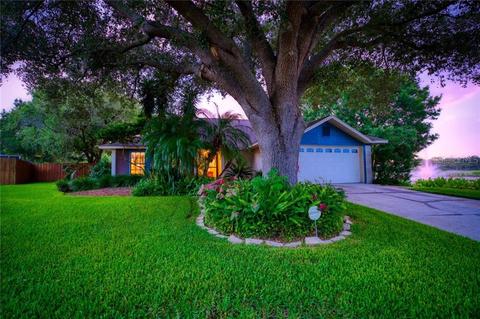 1447 Shell Flower Dr, Brandon, FL 33511 photo 1