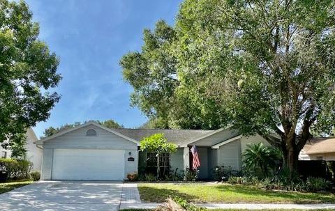 12307 Huckleberry Ct, Riverview, FL 33569 photo 1