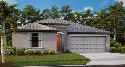 13534 Wild Ginger St, Riverview, FL 33579 photo 1