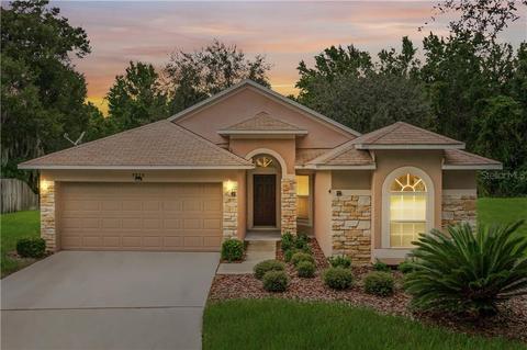 9824 Laurel Ledge Dr, Riverview, FL 33569 photo 1