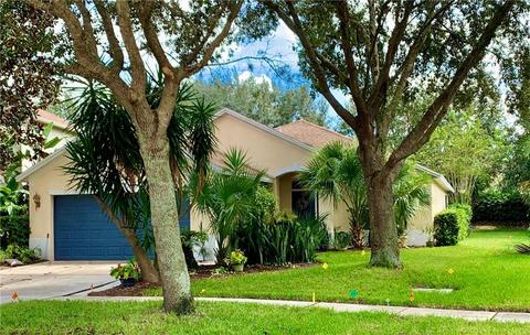 11612 Brookmore Way, Riverview, FL 33569 photo 1