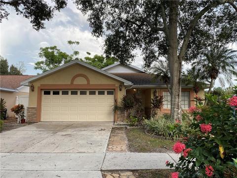 6016 Crickethollow Dr, Riverview, FL 33578 photo 1