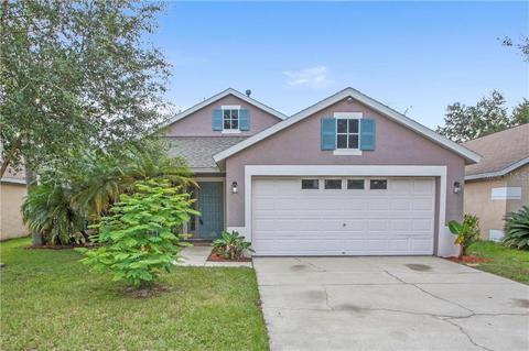 6227 Crickethollow Dr, Riverview, FL 33578 photo 1