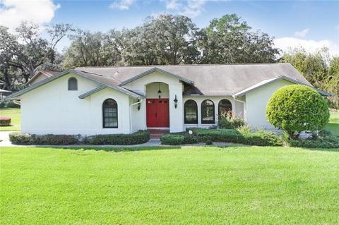 10113 Sedgebrook Dr, Riverview, FL 33569 photo 1