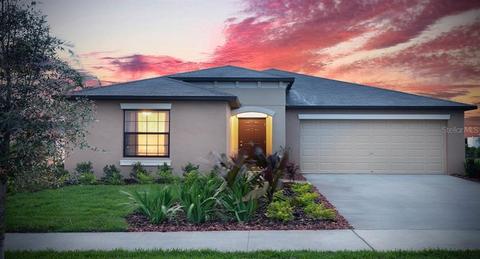 13533 Wild Ginger St, Riverview, FL 33579 photo 1