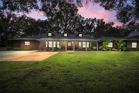 228 N Dover Rd, Dover, FL 33527 photo 1