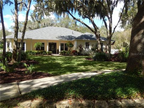 8917 Eagle Watch Dr, Riverview, FL 33578 photo 1