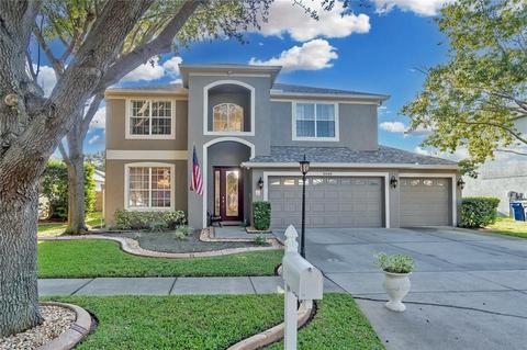9046 Pinebreeze Dr, Riverview, FL 33578 photo 1