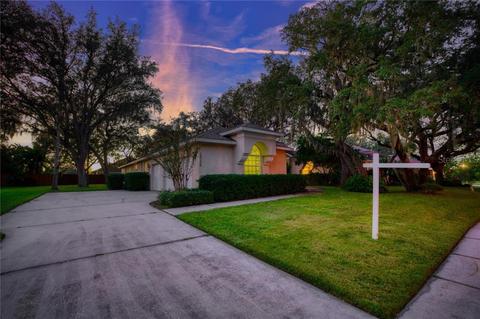 10136 Paddock Oaks Dr, Riverview, FL 33569 photo 1