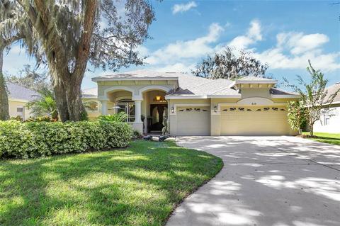 6109 Ibispark Dr, Lithia, FL 33547 photo 1