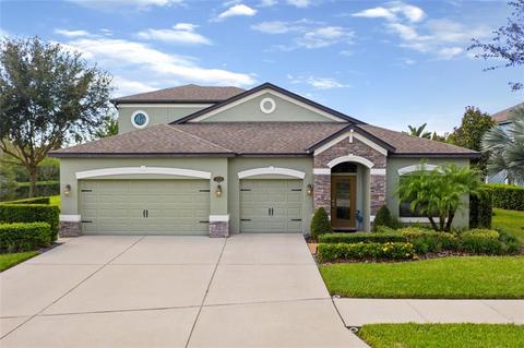 11733 Gilmerton Dr, Riverview, FL 33579 photo 1