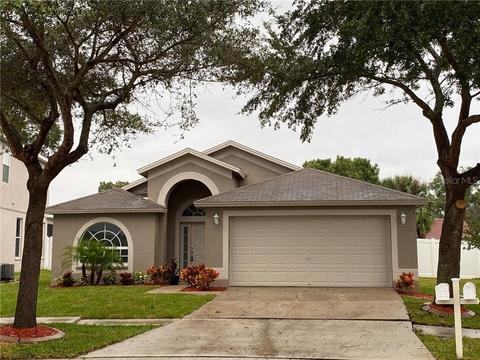 11120 Silver Dancer Dr, Riverview, FL 33579 photo 1